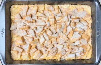 apple cinnamon kuchen in pan before baking