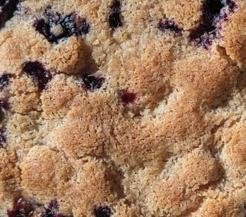 blueberry buckle coffee cake streusel