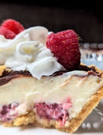 slice of chocolate raspberry cheesecake with suggested garnish