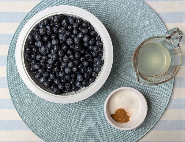 stove top blueberry grunt ingredients