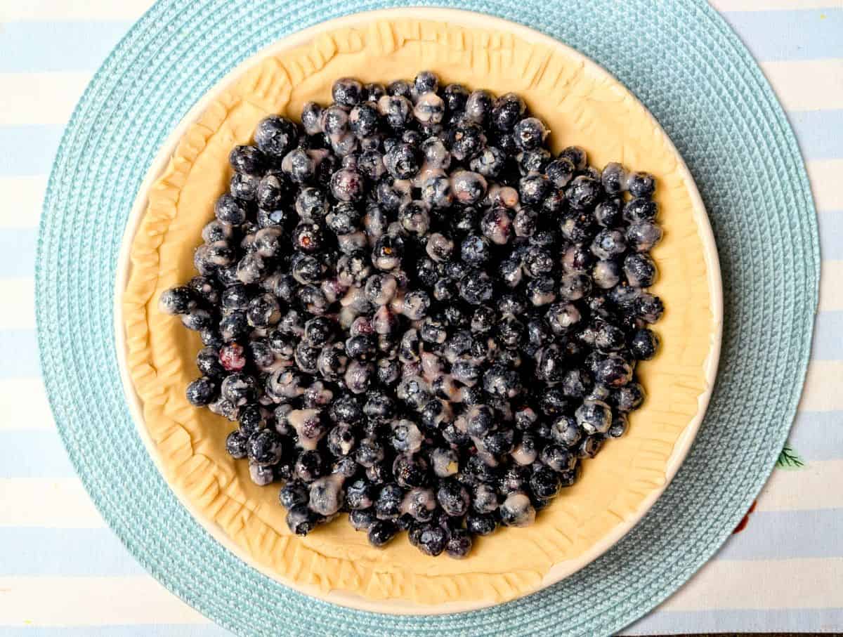 blueberry filling in pie crust