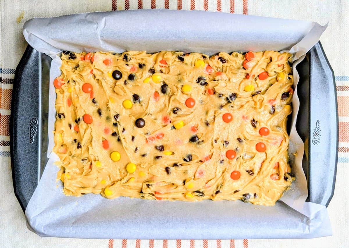 before baking in pan