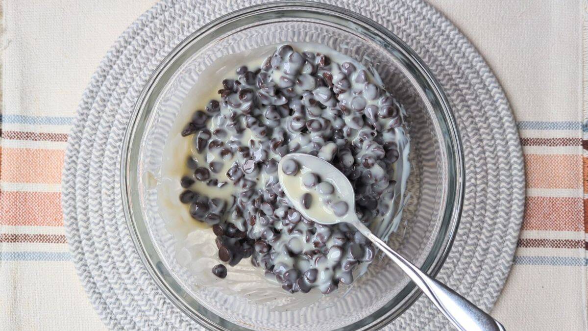 condensed milk and chocolate chips
