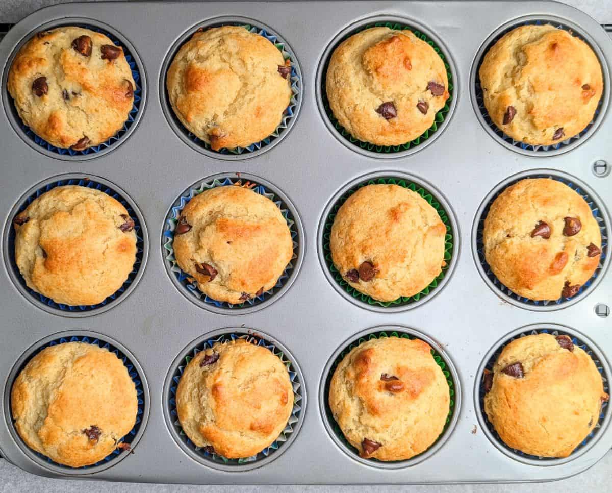 muffins baked in muffin pan
