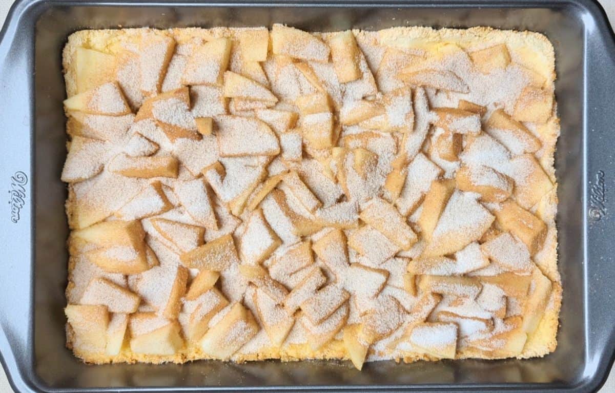 cinnamon and sugar sprinkled on top