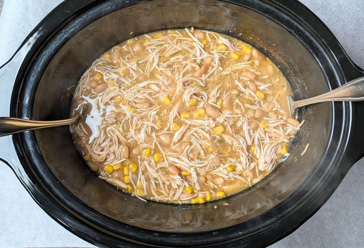 Shredded chicken in a creamy, savory sauce inside a slow cooker, a key step in this crockpot cream cheese chicken chili recipe.
