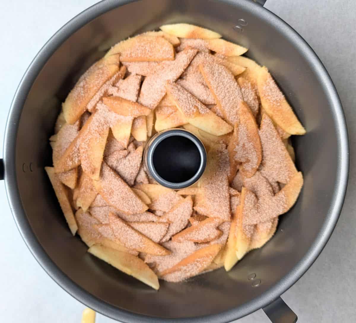 half of cake batter in bundt pan, topped with apple slices, cinnamon, sugar