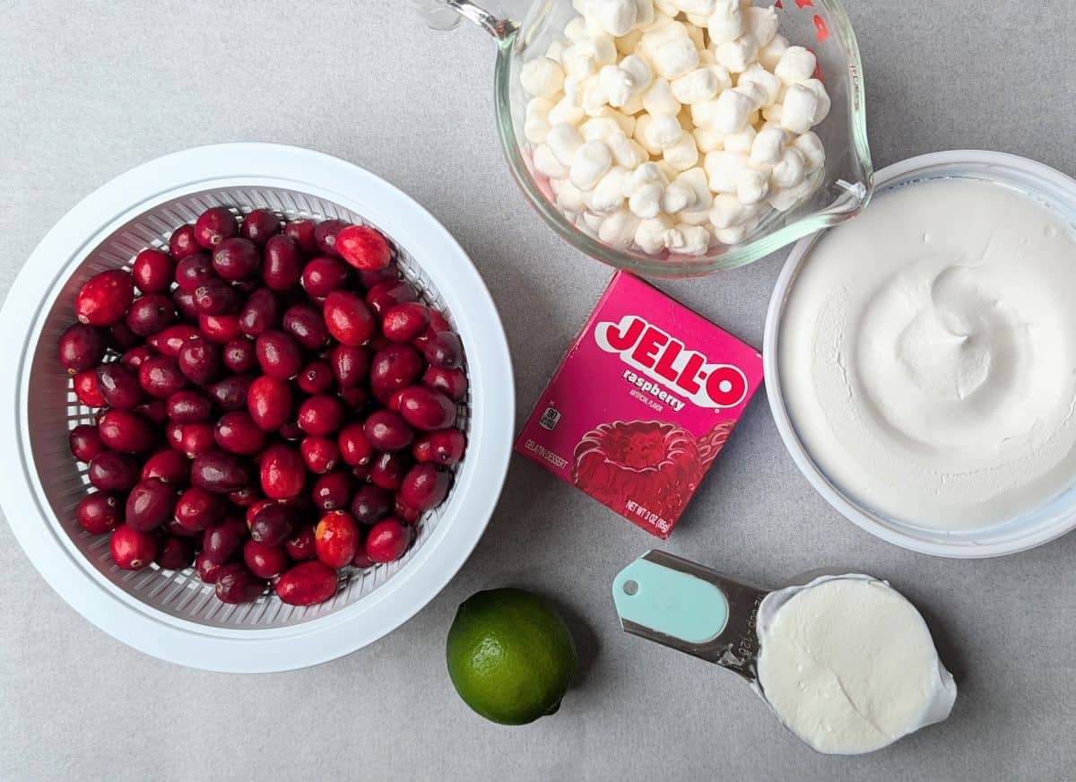Overhead view of the ingredients needed for a cranberry fluff salad recipe, including a bowl of fresh cranberries, mini marshmallows, a box of Jello, and a tub of Cool Whip.