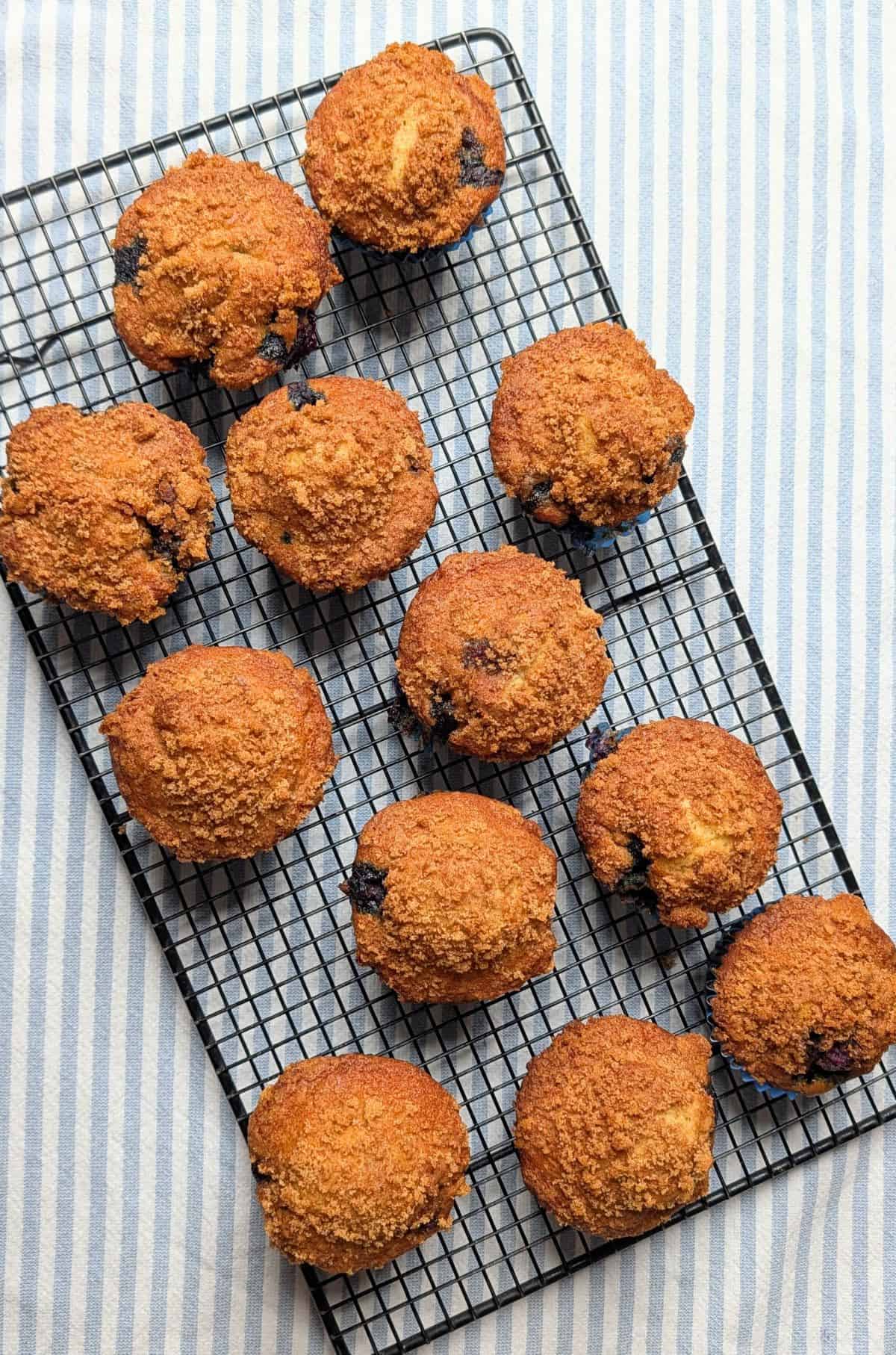 Freshly baked Greek yogurt blueberry muffins on a cooling rack.