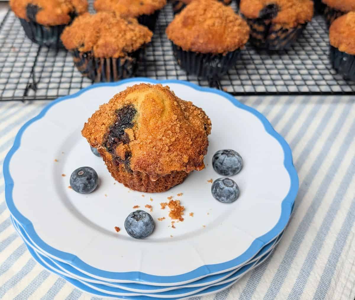 greek yogurt blueberry muffin on plate with fresh blueberries and cooling rack in background